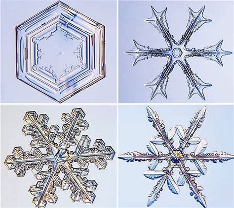 雪花的結晶體是屬於哪一種美的形式原理原則？